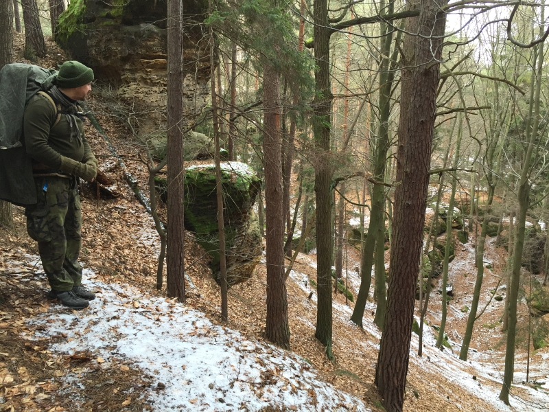 fatwood_hike_05