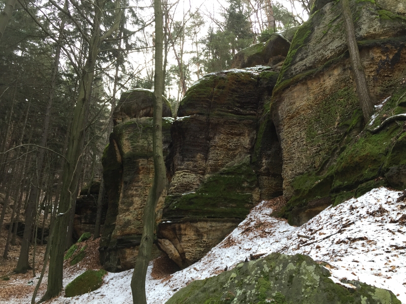 fatwood_hike_09