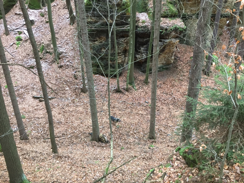 fatwood_hike_16