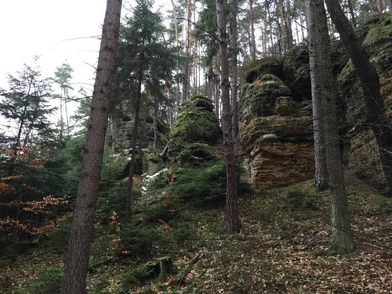fatwood_hike_28