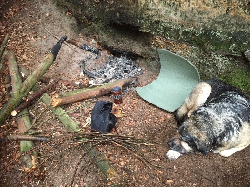 fatwood_hike_37