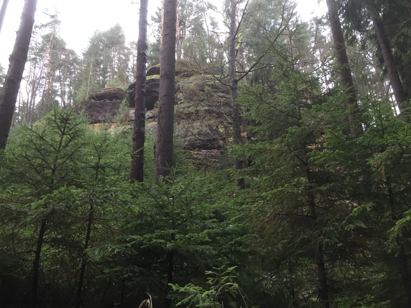 fatwood_hike_49