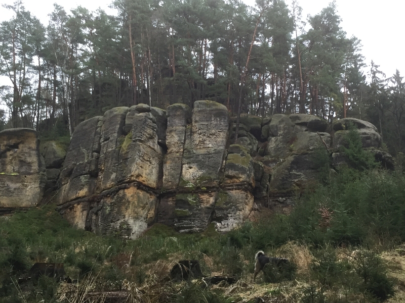 fatwood_hike_50