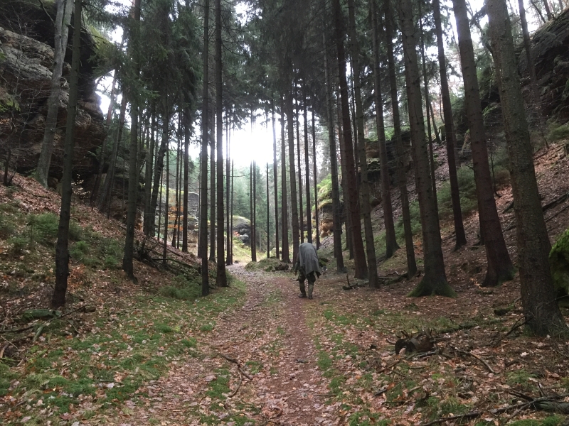 fatwood_hike_51