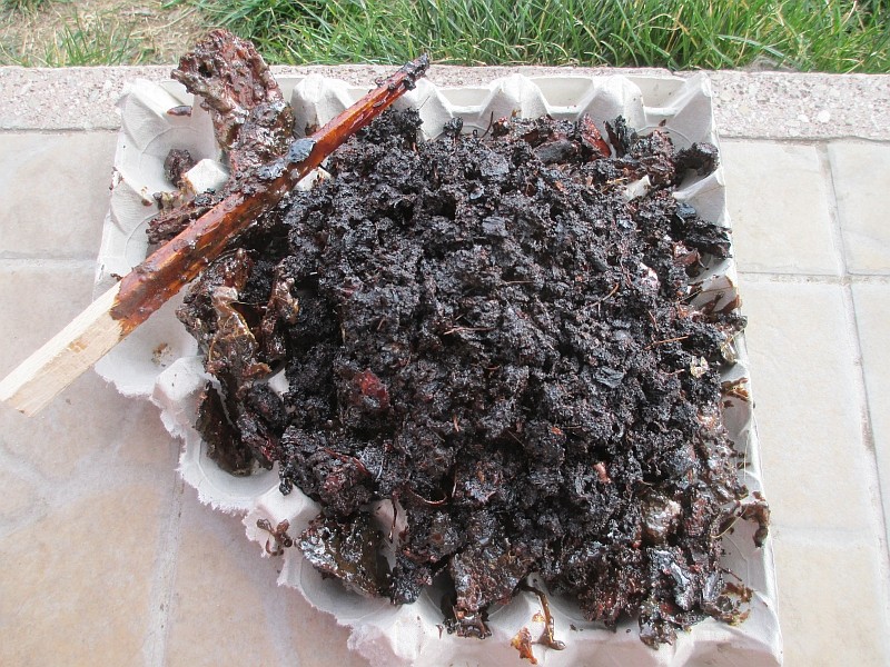 pine-resin-7